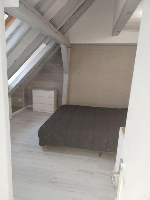 Charmant Appartement Cosy Selestat Luaran gambar
