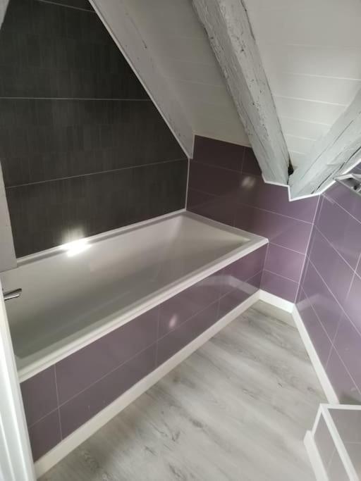 Charmant Appartement Cosy Selestat Luaran gambar