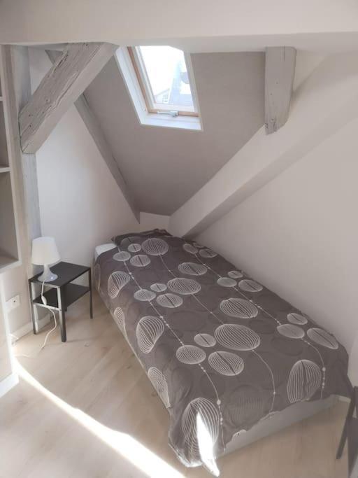Charmant Appartement Cosy Selestat Luaran gambar
